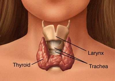 Thyroid Problem